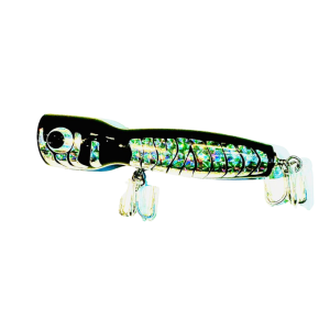 FISHING POPPER - Image 4